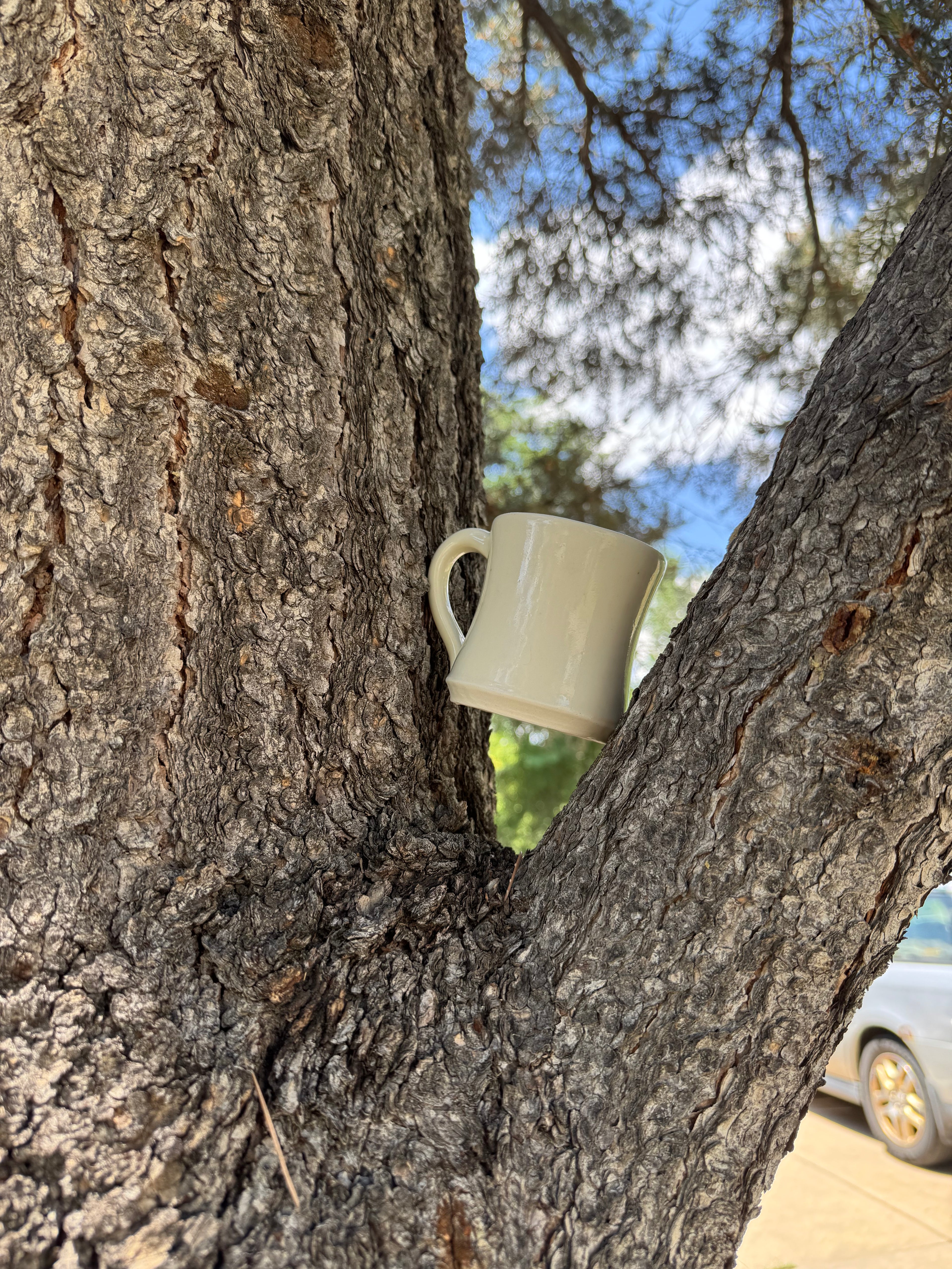 The Mug 1A
